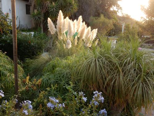Finca Florida 3