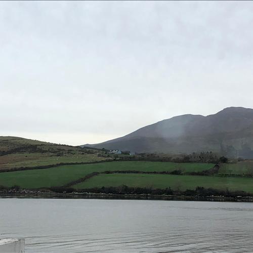 O'Connors Guesthouse - image 9