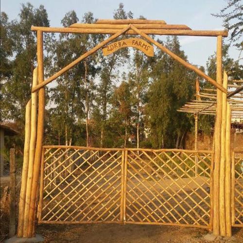 ZORBA FARMS