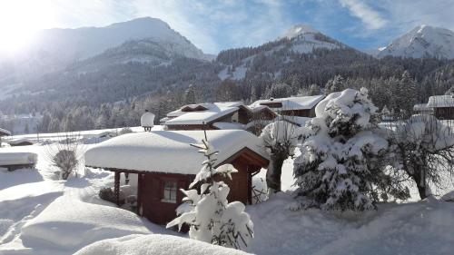  Haus Baumgartner in Schattwald