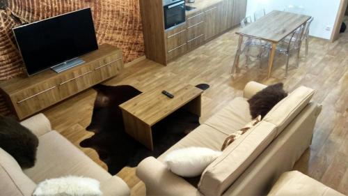 Koplietošanas atpūtas telpa ar TV, Nový Apartmán Říčky (Novy Apartman Ricky) in Riki