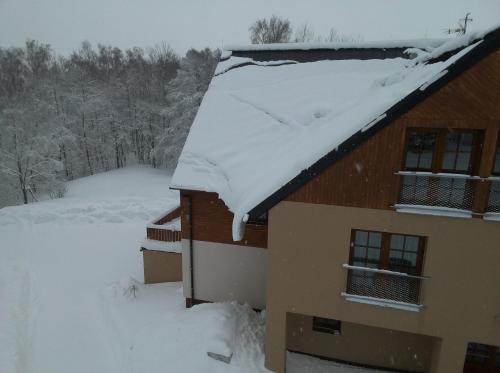 Viesnīcas āriene, Nový Apartmán Říčky (Novy Apartman Ricky) in Riki