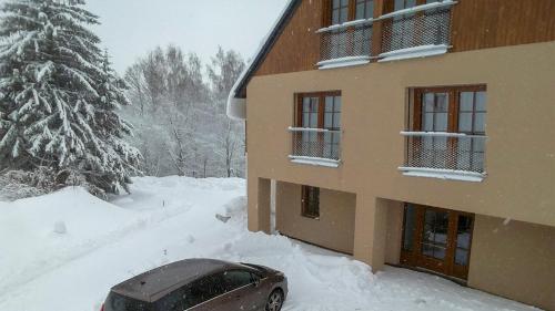 Viesnīcas āriene, Nový Apartmán Říčky (Novy Apartman Ricky) in Riki