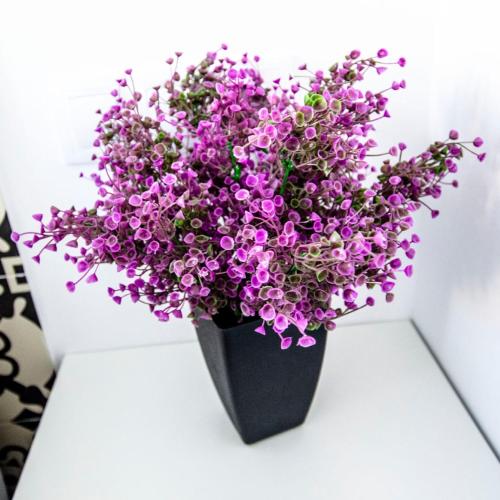 Fuente Torán Apartamentos