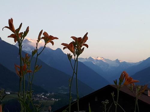 Ferienwohnungen Tiroler Alpenhof