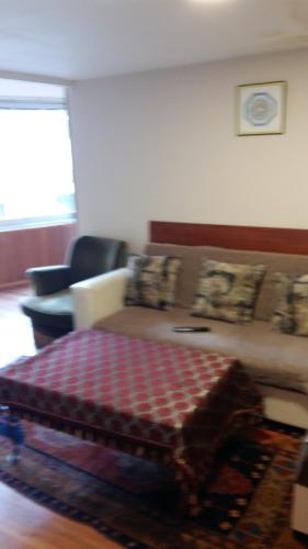 Coskun House