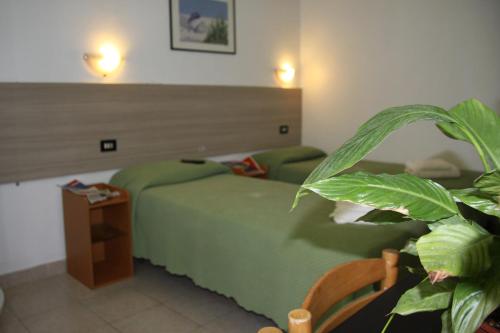 Hotel Adelchi Room Type - Basic Triple Room with Shared Bathroom