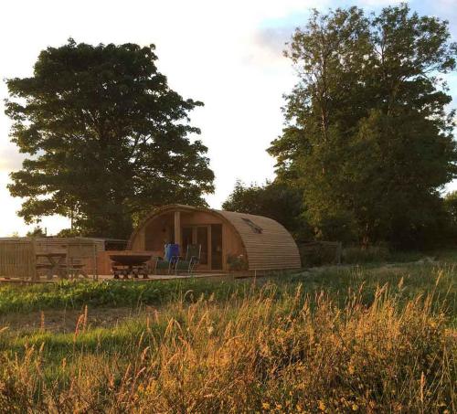 Brynllwyd Glamping in 德維爾布里奇