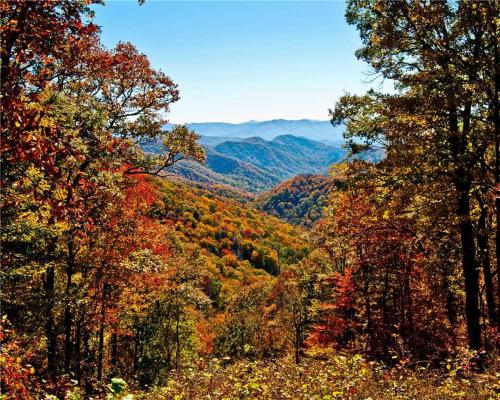 A Walk in the Clouds, Gatlinburg (foto 3)