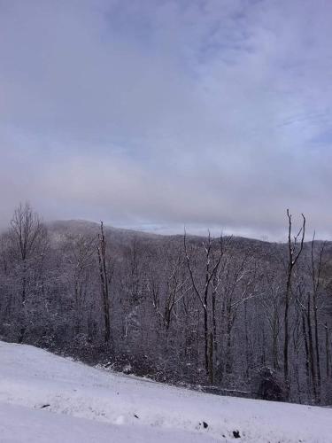 Gatlinburg Mountain Condo