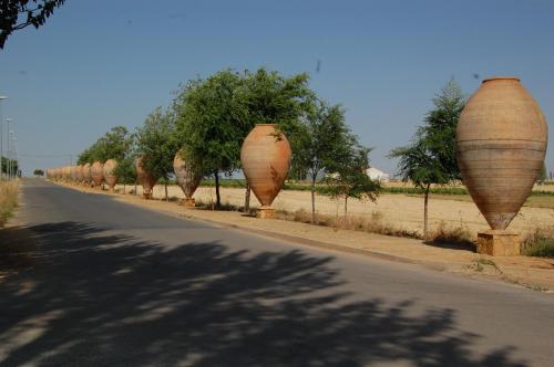 Casas Rurales Los Teatinos