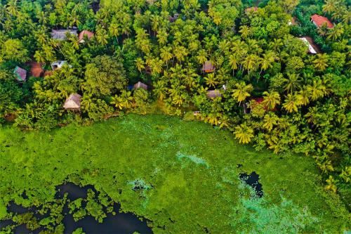 Lakeside Cabana Tissamaharama Sri Lanka 400 Reviews - 