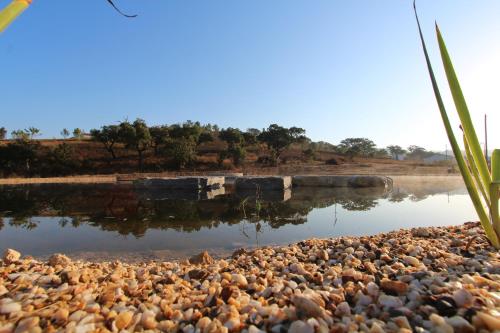  Vida Pura Guesthouse in Odeceixe