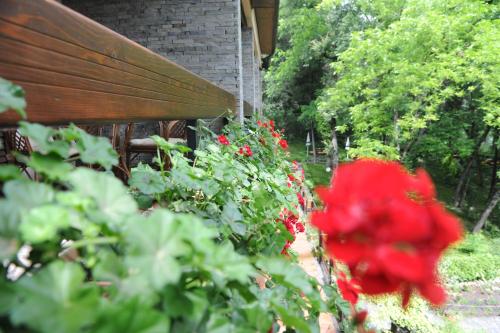 Hotel Restaurant Dreri - image 3