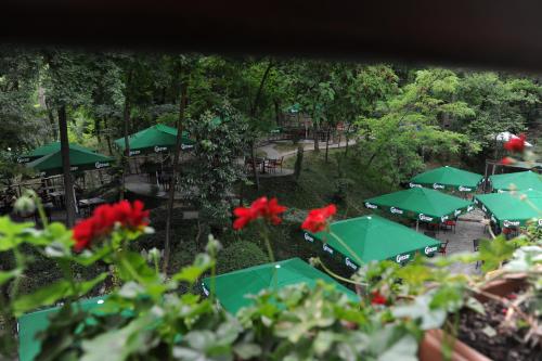 Hotel Restaurant Dreri - image 12