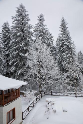 Victoria Hotel Borovets - Free Parking - image 13