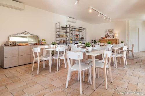 Monteborre - image 7