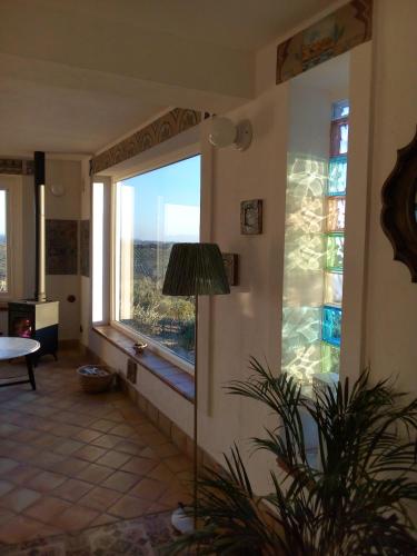 villa immersa in oliveto vista mare
