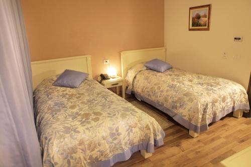 Hotel Restaurant Dreri, Tirana (foto 3)