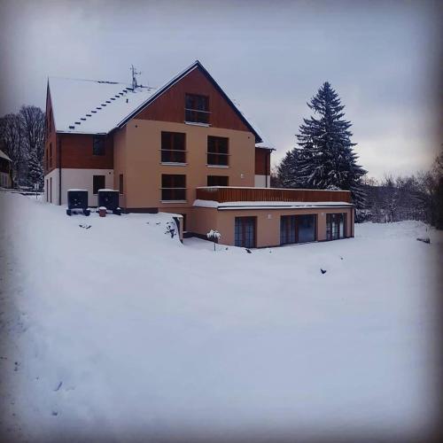 Nový Apartmán Říčky (Novy Apartman Ricky) in Riki