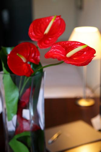 Aparthotel Attica 21 Vallés