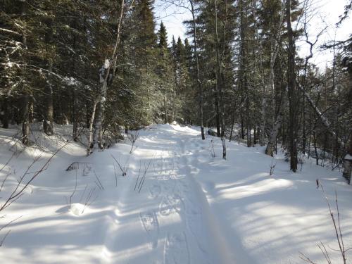 Résidence touristique Lodge des Bois