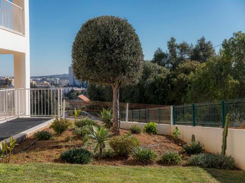 A26 - Afonso V Apartment - image 4