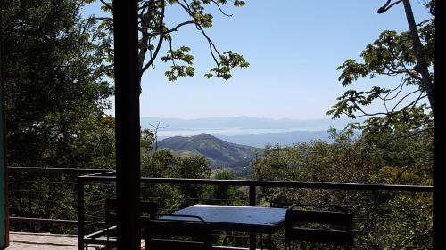 Above the Gulf, Vacation House