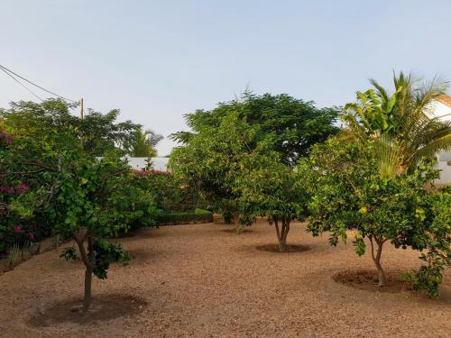 La Maison Blanche à Ngaparou, splendide villa contemporaine