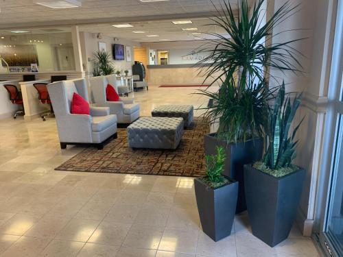 Ramada by Wyndham Sarasota Waterfront - image 2