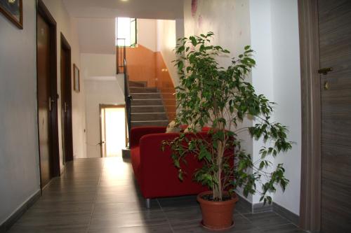 ホテル アデルキ