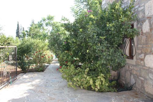 Important Group | Villa Citrus - image 4