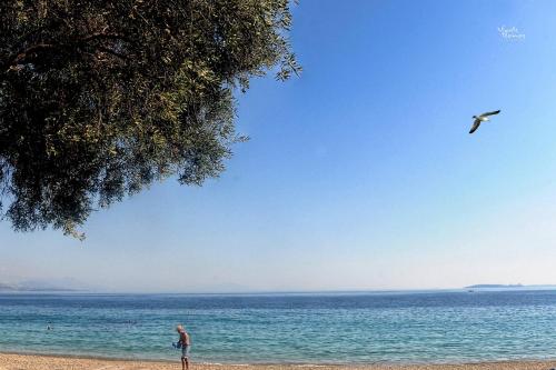  Boundos House in Barbati