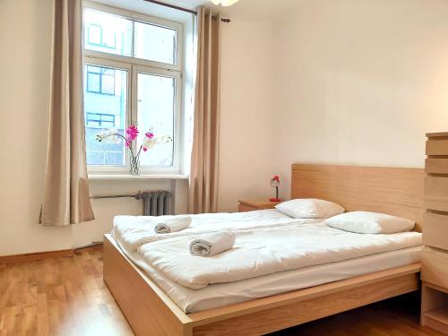 Brivibas Center Apartments - image 4