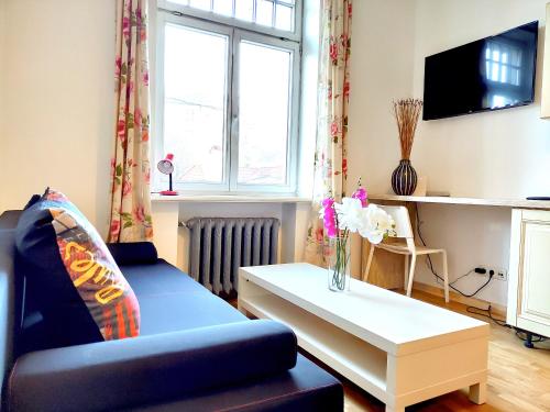 Brivibas Center Apartments - image 13