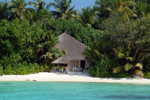 antes de champú preámbulo Nika Island Resort & Spa, Maldives en Nika Island, Maldivas - 200  opiniones, precios | Planet of Hotels