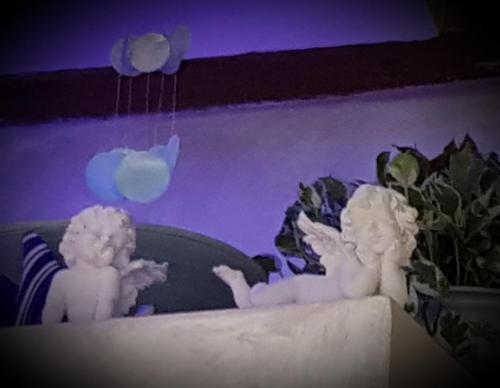  Stella del Mar S.Stefano in Bologna