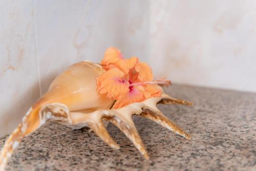 Villa Lima Villa Lima