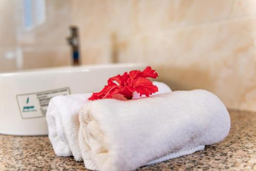 Villa Lima Villa Lima