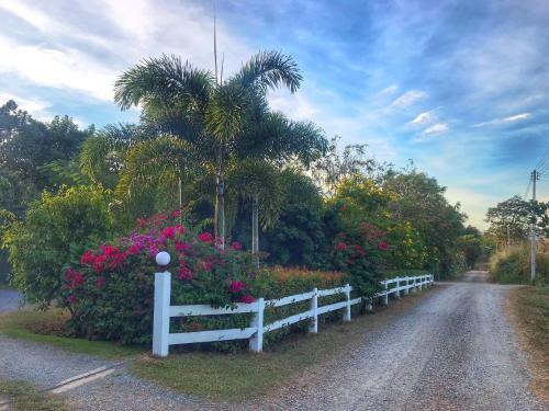 Better Weather Homestay