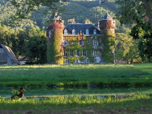 Château de Sédaiges photo 19