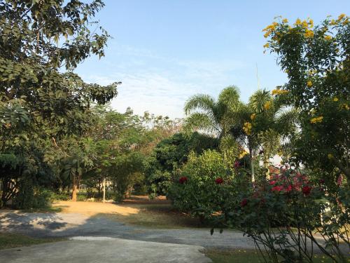 Better Weather Homestay