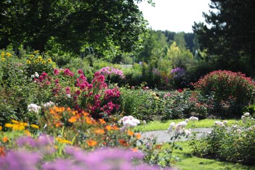 Kneipp- und Wellvitalhotel Edelweiss