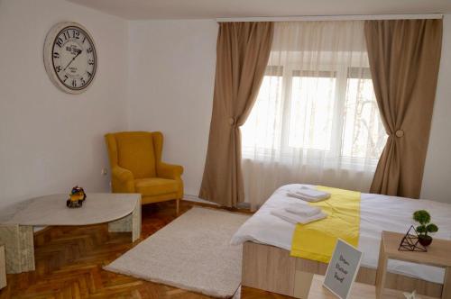 Central apartment with BIG room, WiFi, TV, Washer Timisoara