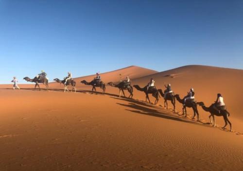 Auberge L'oasis Mhamid