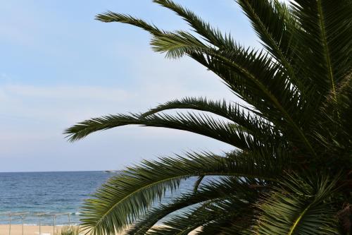 Vaade, Marinis Boutique Rooms in Iraklitsa
