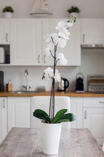 Appartement Bien-être au coeur de Cabourg - Les locations de Proust photo 19