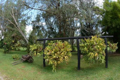 Casa Finca Corales Llano Grande 2 Casa Finca Corales Llano Grande 2