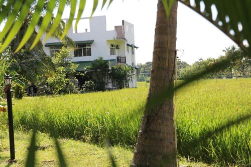 Vaade, Manel Guest House in Polonnaruwa