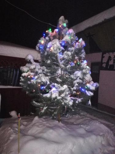 Privát Erika - image 9